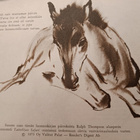 Eläimiä taiteilija Ralph Thompson - pikkukuva 4