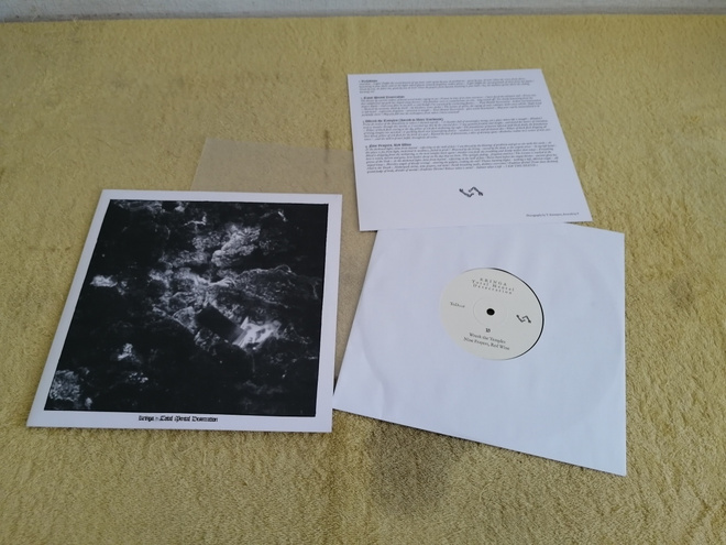 KRINGA - Total Mental Desecration 10"