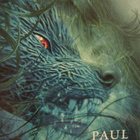 LADY IN THE WATER DVD - pikkukuva 3