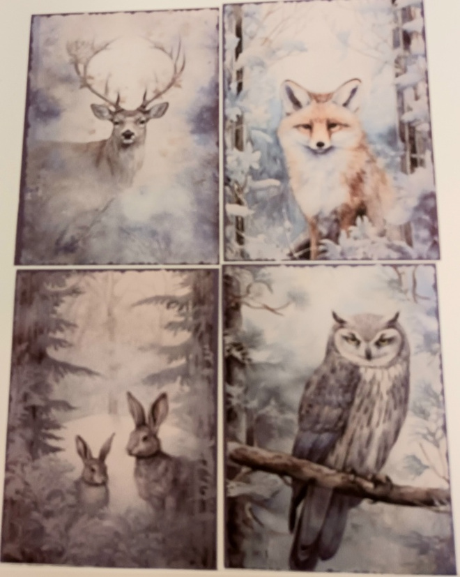 Korttikuvat LUONNON ELÄIMET / 4 kpl -setti / A6