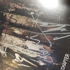 SLIPKNOT - 5: THE GREY CHAPTER 2LP UUSI  KUUDELLA NIMMARILLA - pikkukuva 3