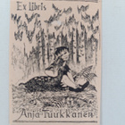Nykysuomen sanakirja 6 : Ts-Ö - pikkukuva 3