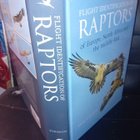 Forsman : Flight identification of Raptors ( SIS POSTIKULU - pikkukuva 3