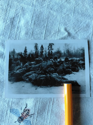 sotavalokuva röykkiö kaatuneita sotilaita
