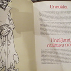 Taru Tolsa-Repo: Unni-Jumi - Lapin mahtava noita - pikkukuva 2