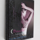 Kristin Cast ym. : Piinattu - pikkukuva 1