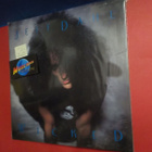 JEFF DAHL - WICKED M-/M- LP EU -92 PRESS - pikkukuva 1