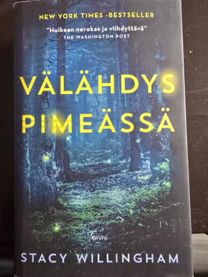 Stacy Willingham: Välähdys Pimeässä1.p