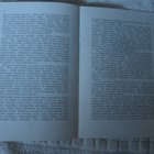Vammalan Palo 1918 Totuus sen syttymisestä - pikkukuva 4