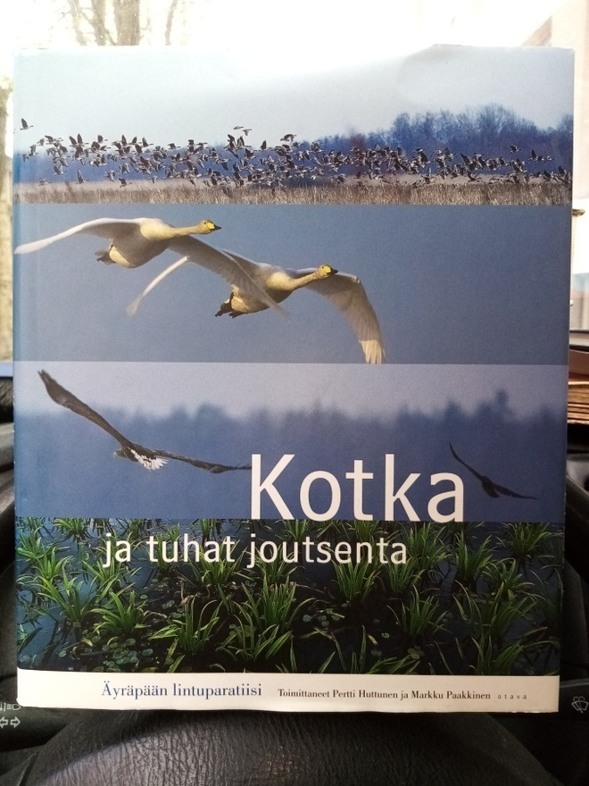 HUTTUNEN :  KOTKA JA TUHAT JOUTSENTA ( SIS POSTIKULU  )