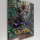 Warren Eckstein : The Illustrated Cat's Life - pikkukuva 1