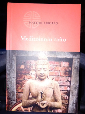 Ricard: Meditoinnin taito ( SIS POSTIKULU  )