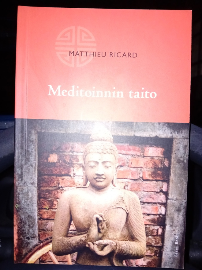 Ricard: Meditoinnin taito ( SIS POSTIKULU  )