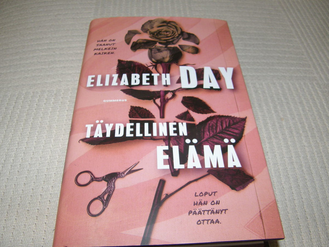 Elizabeth Day Täydellinen elämä  -sid