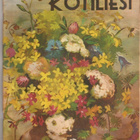 Kotiliesi 4 kpl. , Hopeapeili ja Pellervo, 1920-1960 lukua. - pikkukuva 1