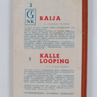 Kaija Pakkanen : Raija - pikkukuva 2