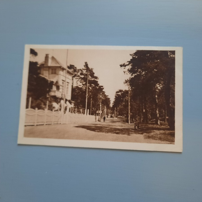 PK Hanko Puistotie, villa *  -20-l