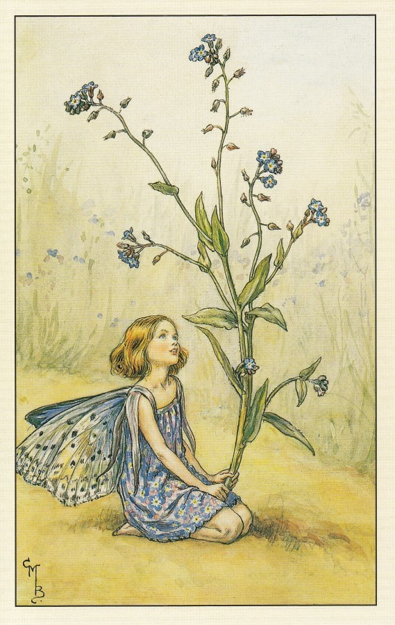 Cicely Mary Barker: Kukkakeijut lemmikki
