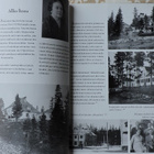 Teppo Järvi: Allinna- Allin linna 1919 Riihimäki - pikkukuva 3
