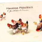 Vanha pääsiäiskortti-kukko ja kanalauma - pikkukuva 1