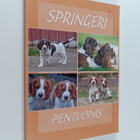 Springeri pentuopas - pikkukuva 1