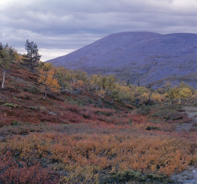 Lappi, siniset tunturit (neliökortti)