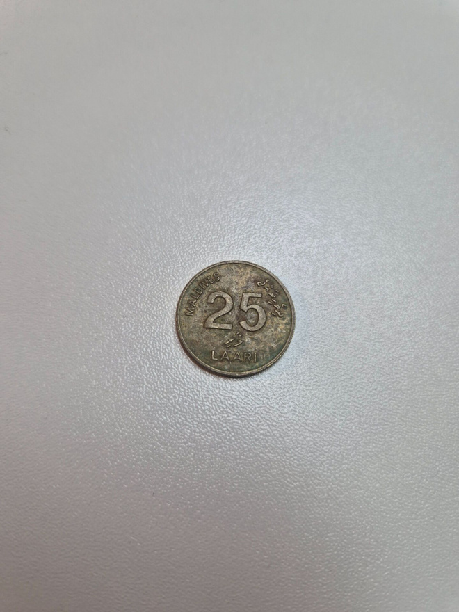 Malediivit	1990	 25 	laari   (14492)