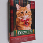 Bret Witter ym. : Dewey - The Small-town Library Cat who ... - pikkukuva 1