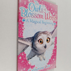 Catherine Coe : The owls of Blossom wood - A magical begi... - pikkukuva 1