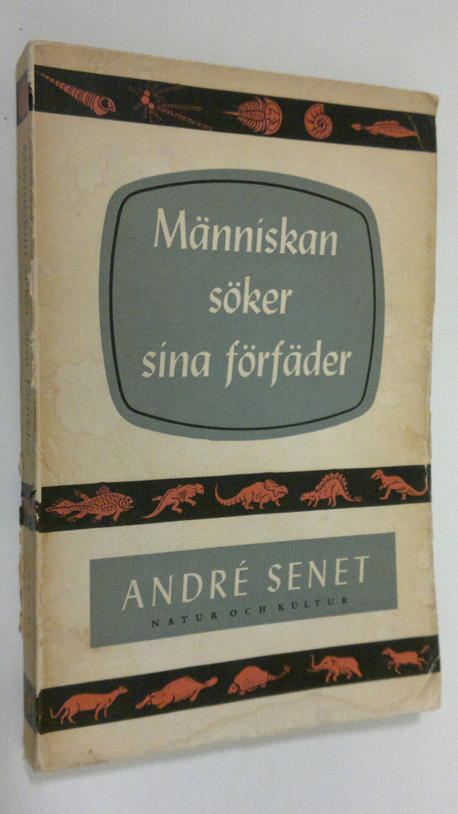 Andre Senet : Människan söker sina förfäder : Livets utve...