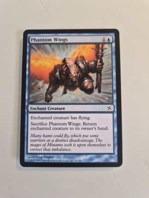 MTG kortteja 2 kpl
