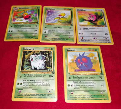 Pokémon Jungle