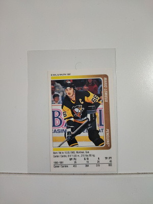1991-92 Panini Stickers #268 Mario Lemieux