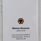 Steve Bull Englanti signed - pikkukuva 2