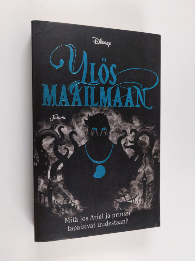 Liz Braswell : Ylös maailmaan : Mitä jos Ariel ja prinssi...