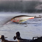 Rapala shad rap - pikkukuva 2