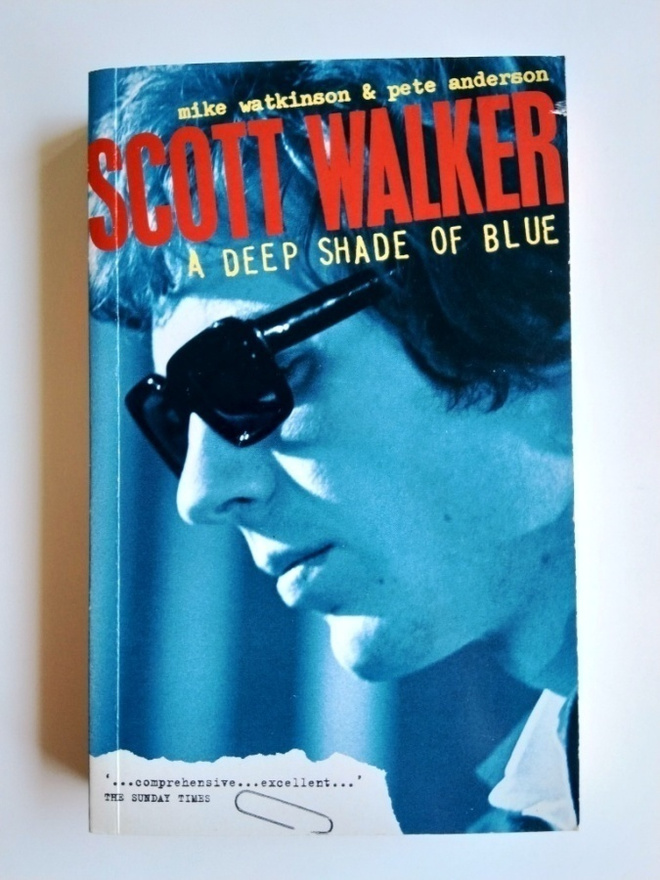 Scott Walker a deep shade of blue Watkinson Anderson