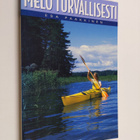 Esa Paakkinen : Melo turvallisesti - pikkukuva 1