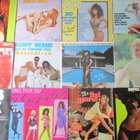 12 Cheesecake-levyä (sexy, nude, vinyyli, LP) - pikkukuva 1
