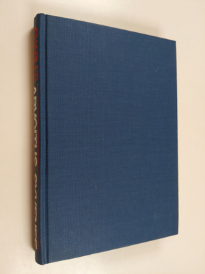 Charles Berlitz : Arvoitus syvenee