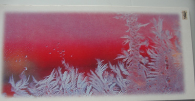 NO 3862 - JÄÄKUKKASET - kortin koko = 10 x 22 cm