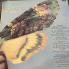 Björn J:Son Lindh: Världen vänder (1985) LP - pikkukuva 2