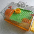 Hamsterin/hamsterien häkki. - pikkukuva 2