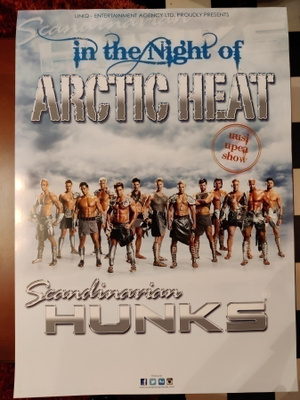 Scandinavian Hunks  Keikkajuliste