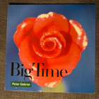 Peter Gabriel Big Time lp - pikkukuva 1