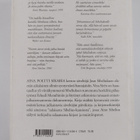 Vesa Siren : Aina poltti sikaria : Jean Sibelius aikalais... - pikkukuva 2