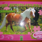 Minun Hevospalapelikirjani - pikkukuva 1