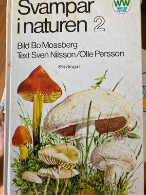 SVAMPAR I NATUREN 2