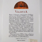 Raimo J. Kinnunen : Valdivia, eli, Neljäs varjelija : rom... - pikkukuva 2