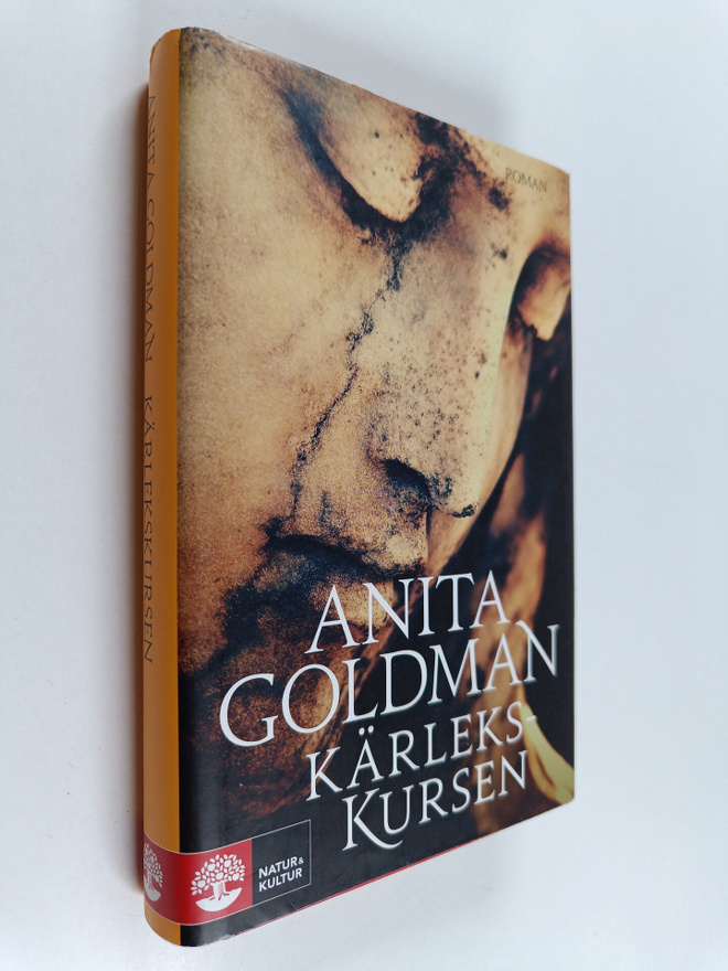 Anita Goldman : Kärlekskursen roman